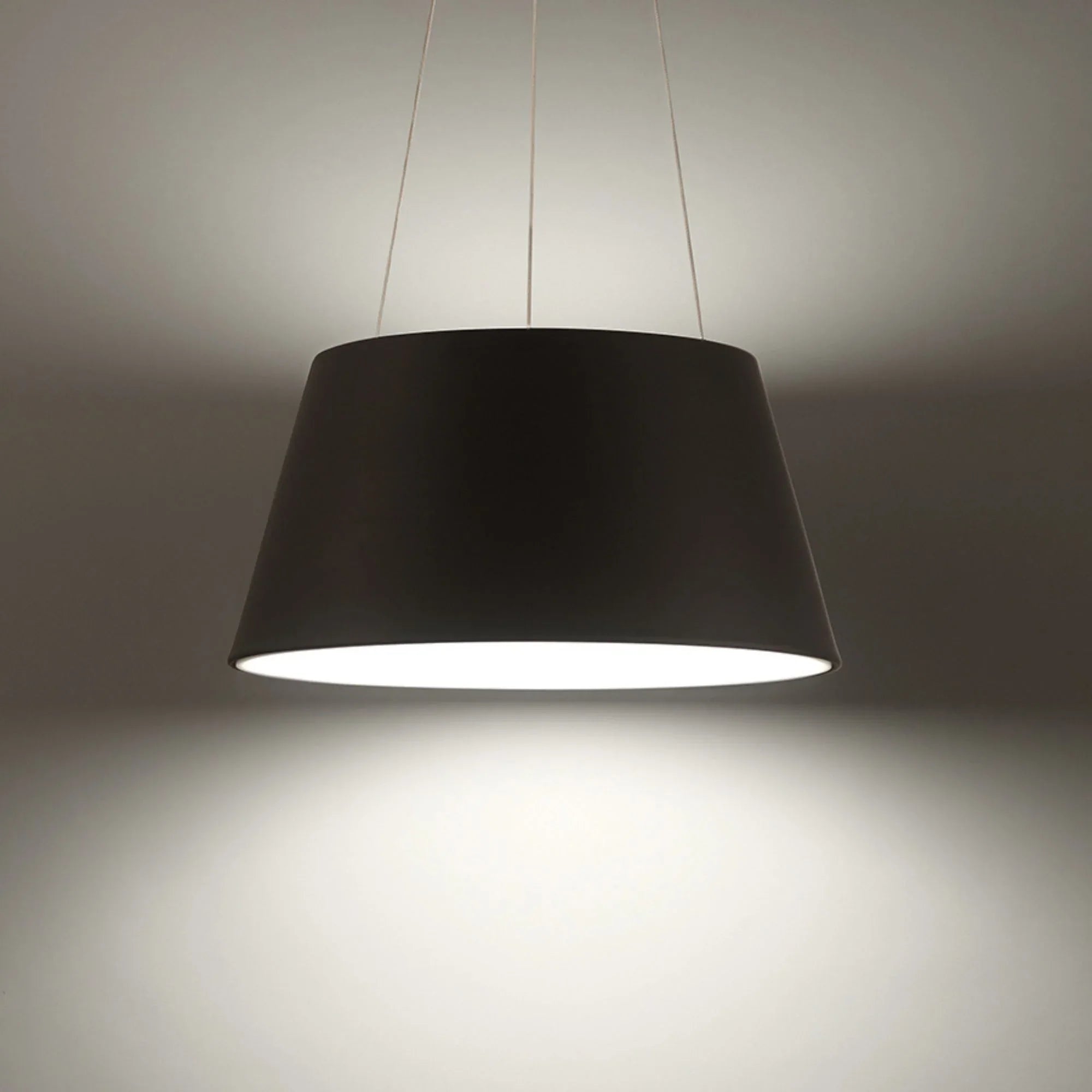 Vida 24" LED Pendant, Black Finish - Bees Lighting