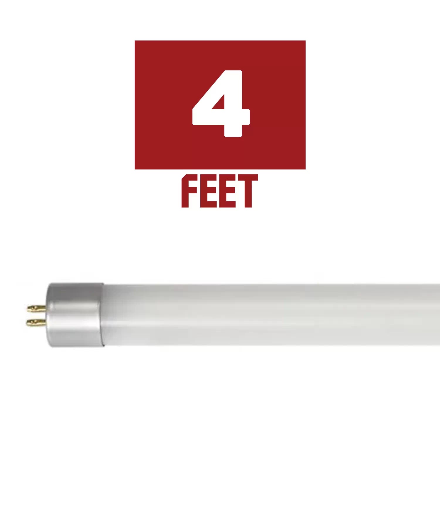T5 LED Bulbs Bees Lighting