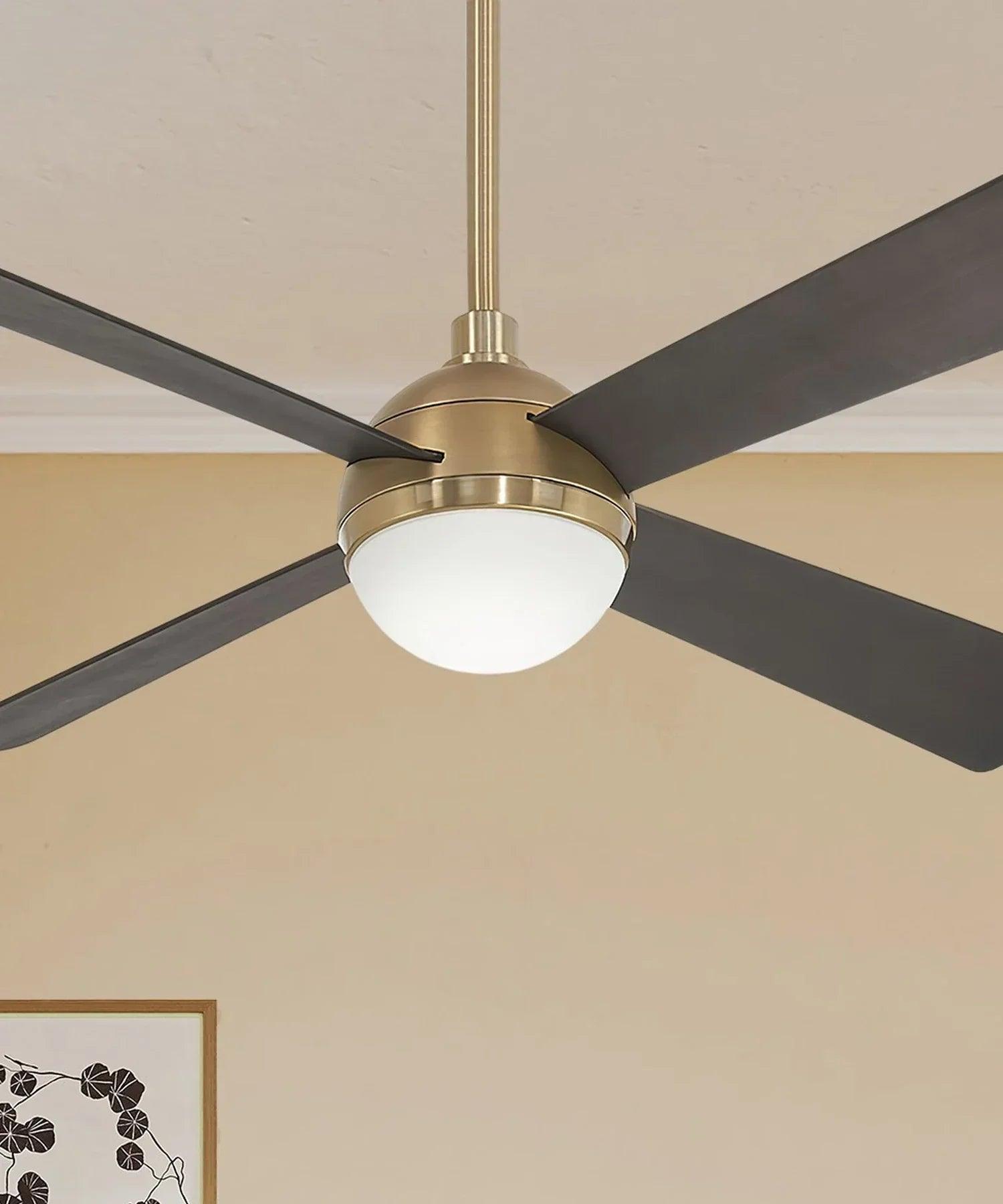 Ceiling Fans - Bees Lighting