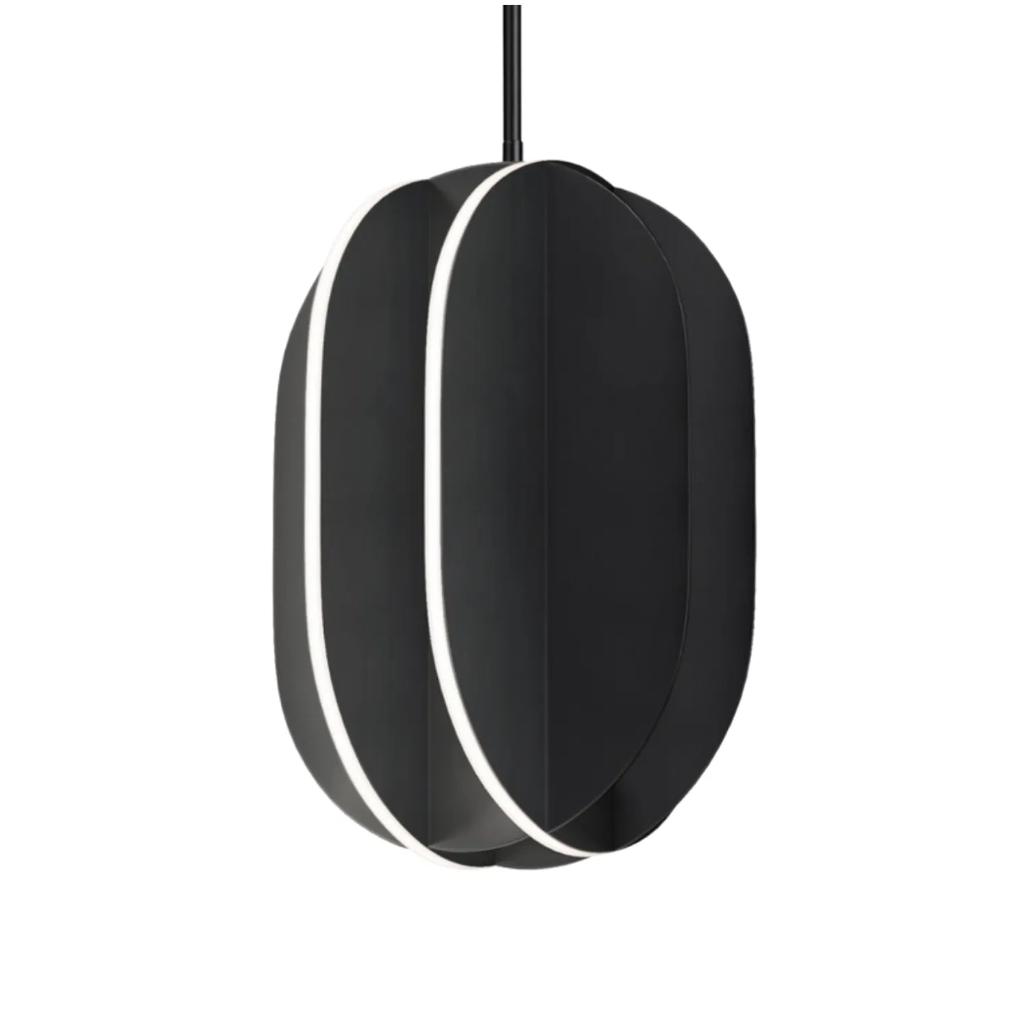 Black Pendant Lights - Bees Lighting