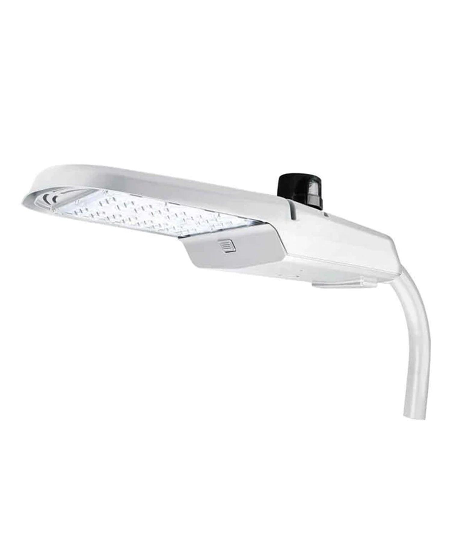 LED Street Lights - Bees Lighting