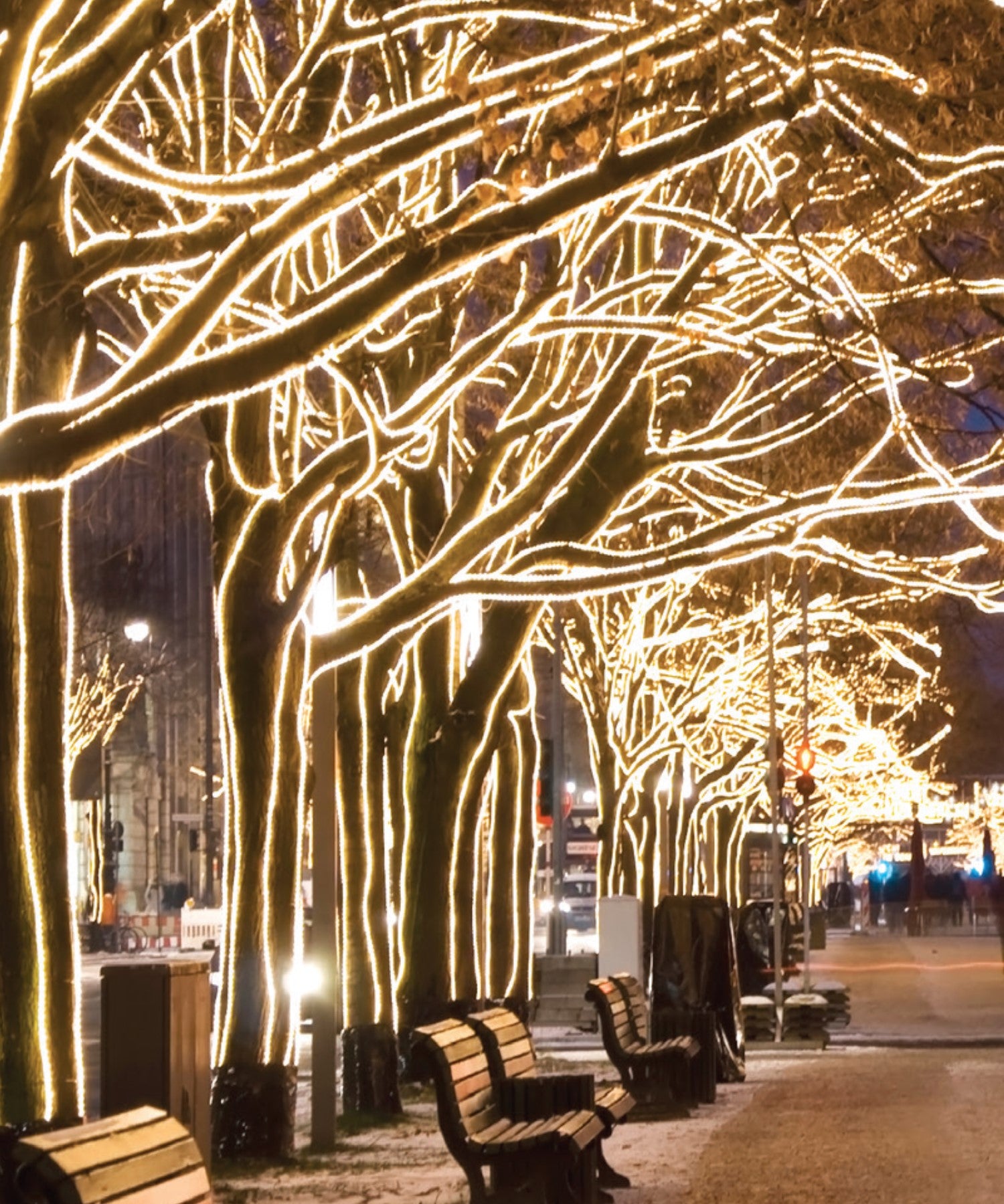 Rope Lights - Bees Lighting