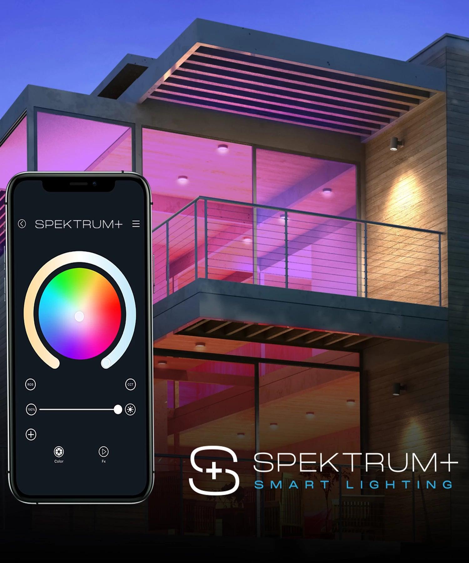 American Lighting Spektrum+ Smart Lighting - Bees Lighting