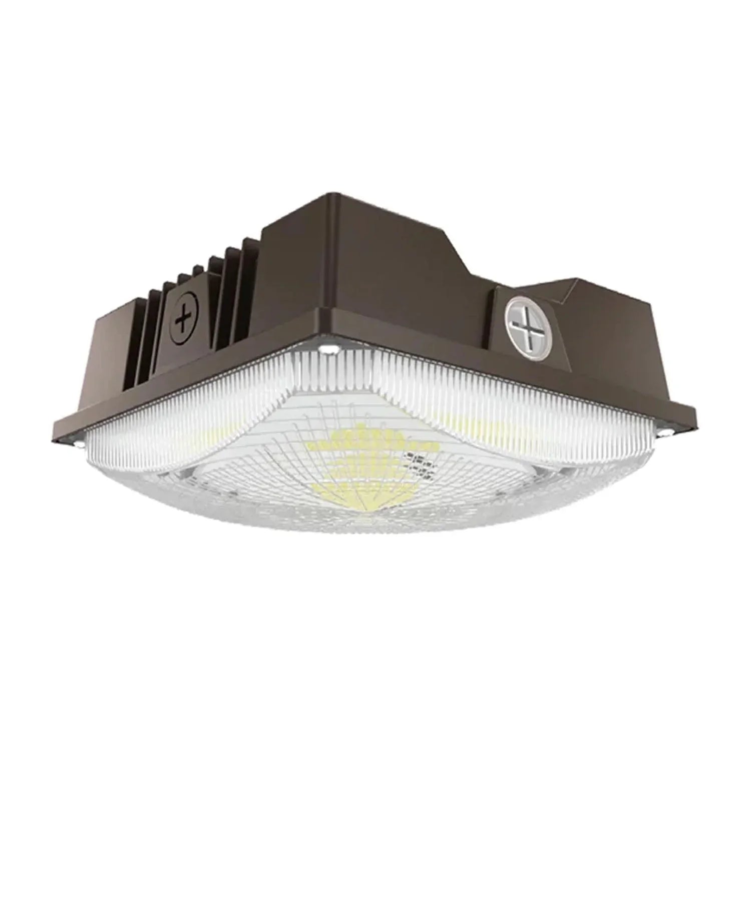 Standard Canopy Lights - Bees Lighting