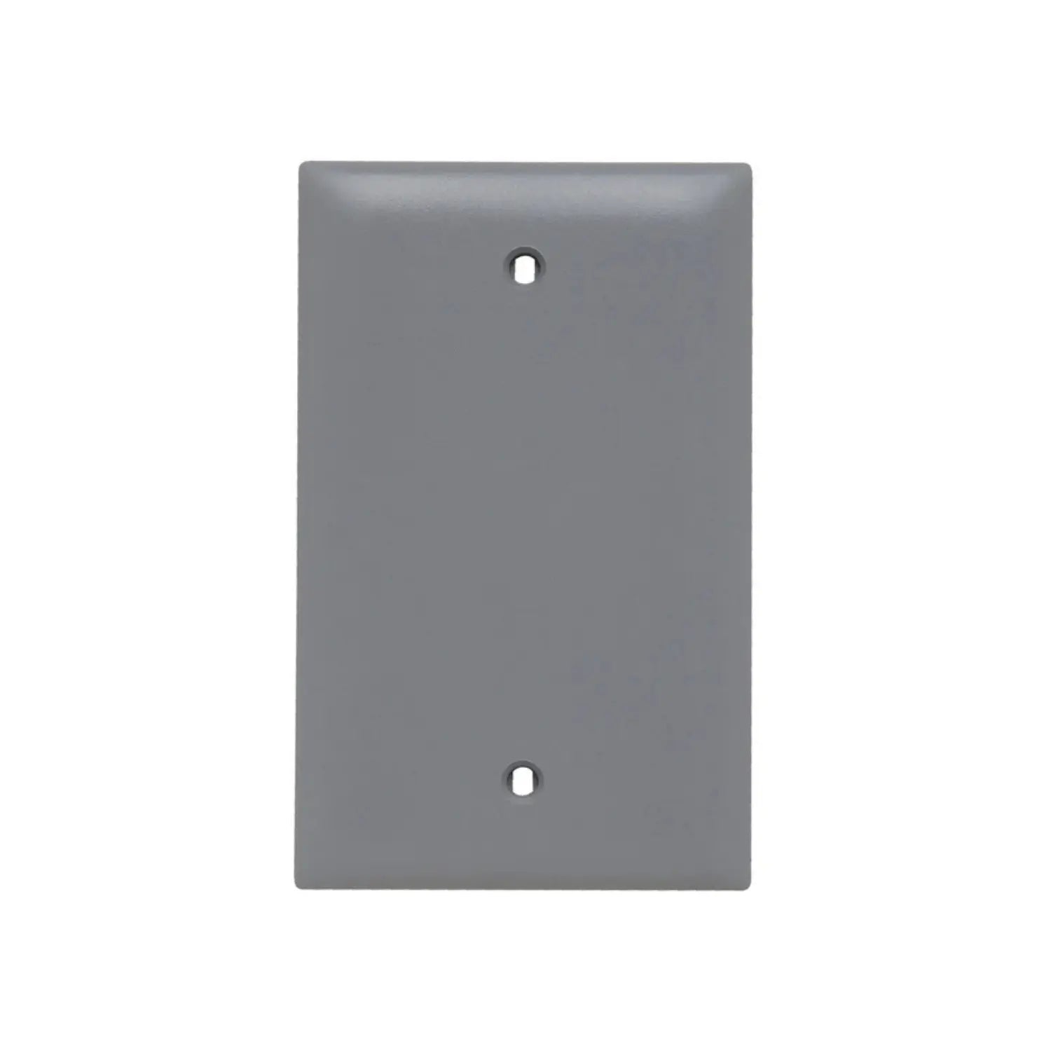 Blank Wall Plates - Bees Lighting