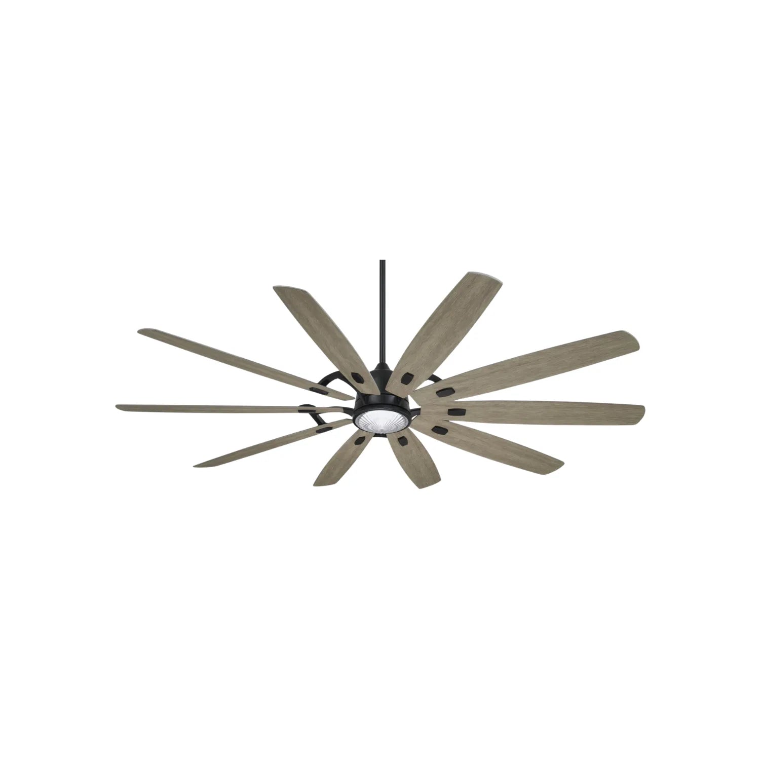 Large Ceiling Fans - Bees Lighting