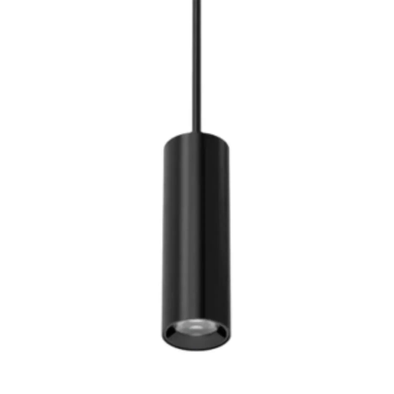 Pendants for Track Lighting