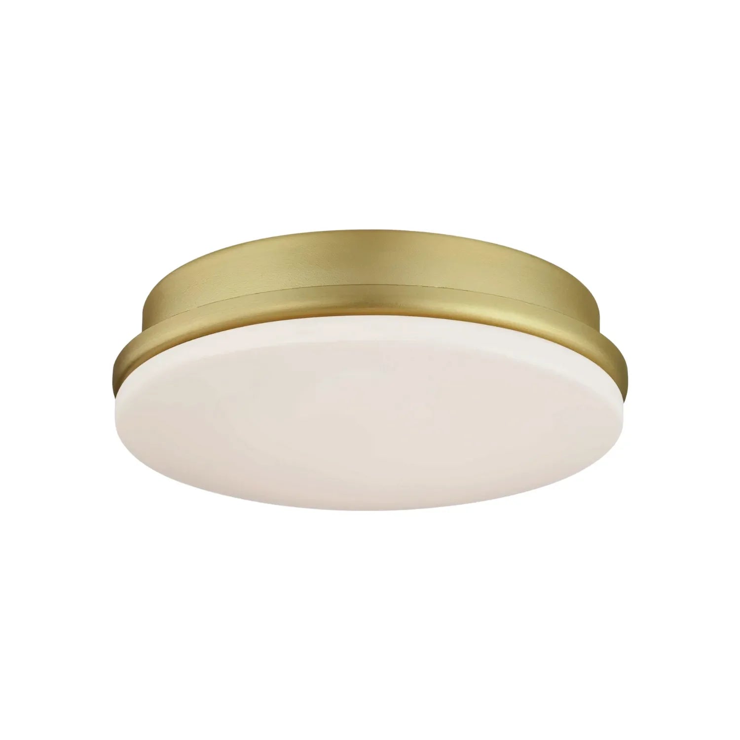 Transitional Lighting - Bees Lighting