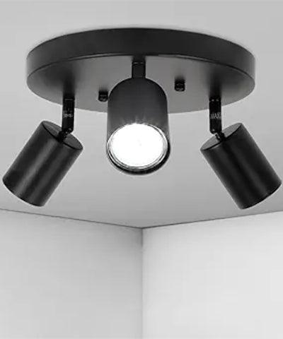 Directional and Spot Lighting - Bees Lighting