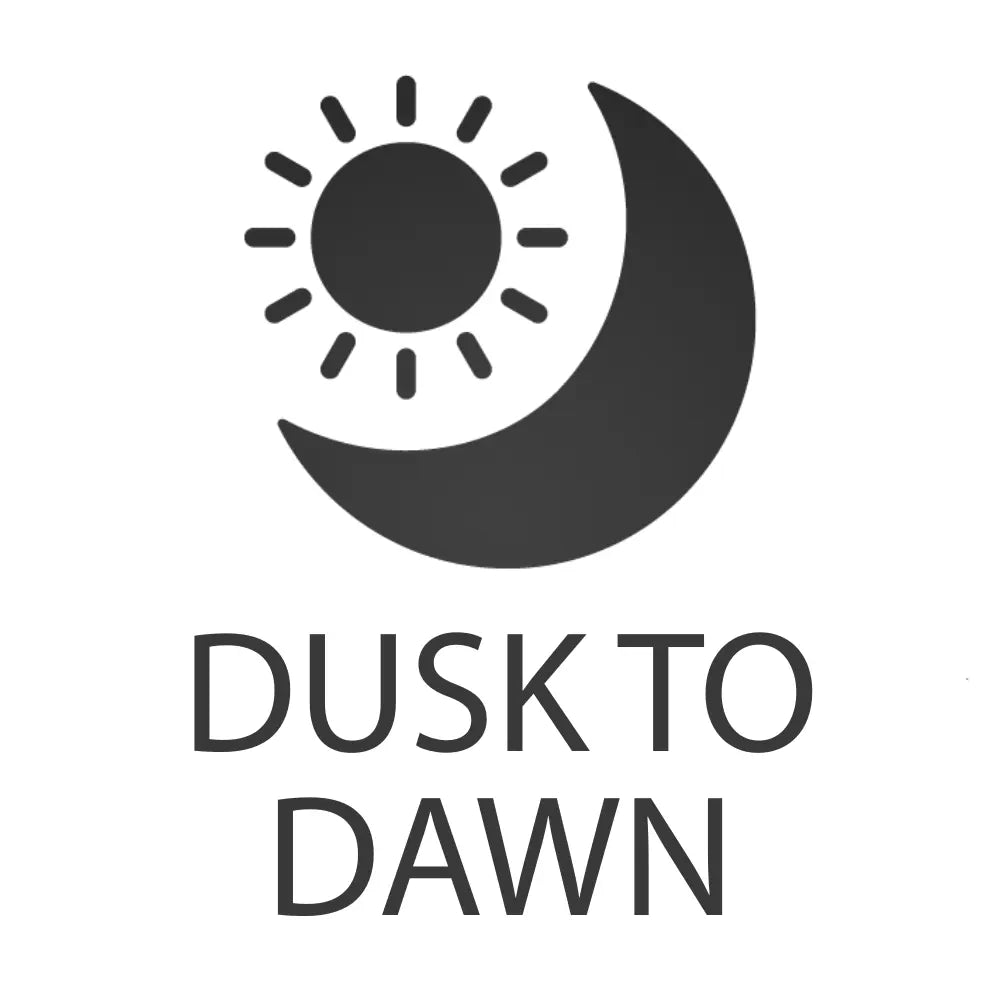 Dusk to Dawn Outdoor Lights - Bees Lighting