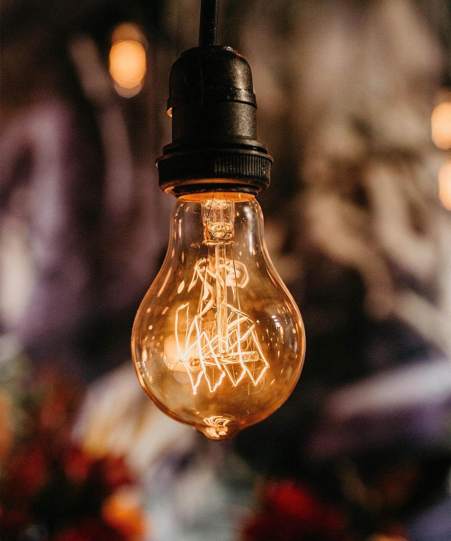 LED Light Bulbs - Bees Lighting