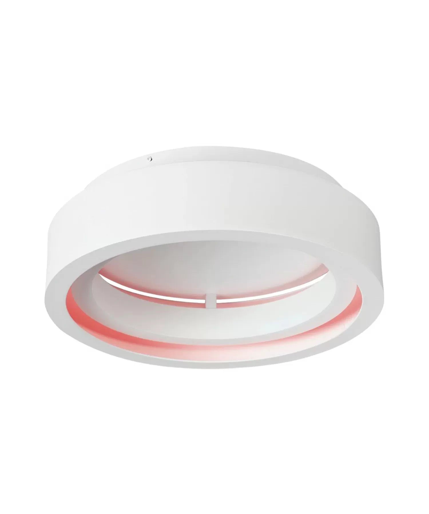 Smart Lighting - Bees Lighting