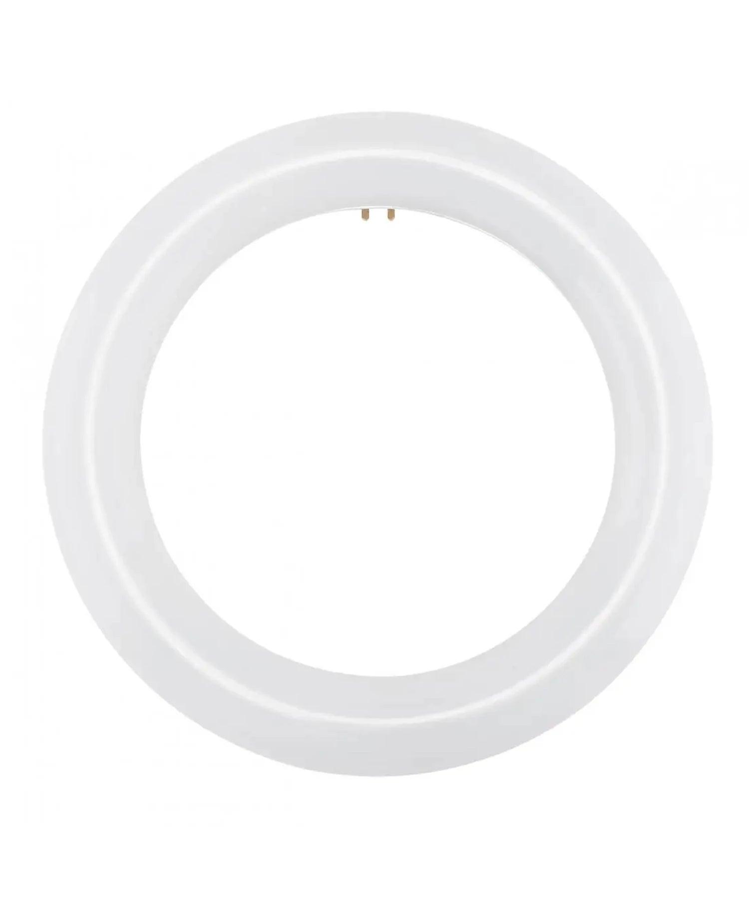 Circline LED Bulbs - Bees Lighting