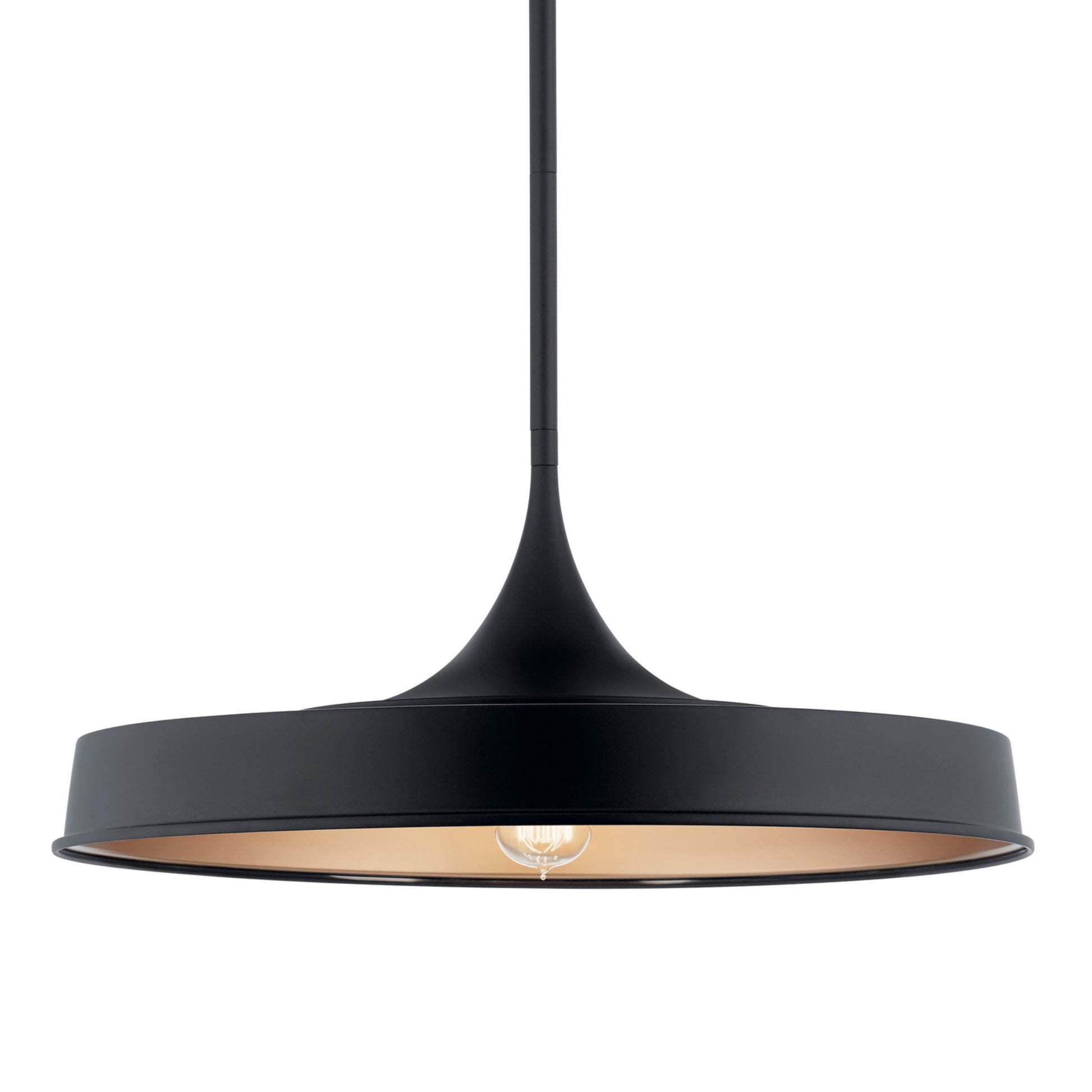 Elias 9" Pendant, Black Finish - Bees Lighting