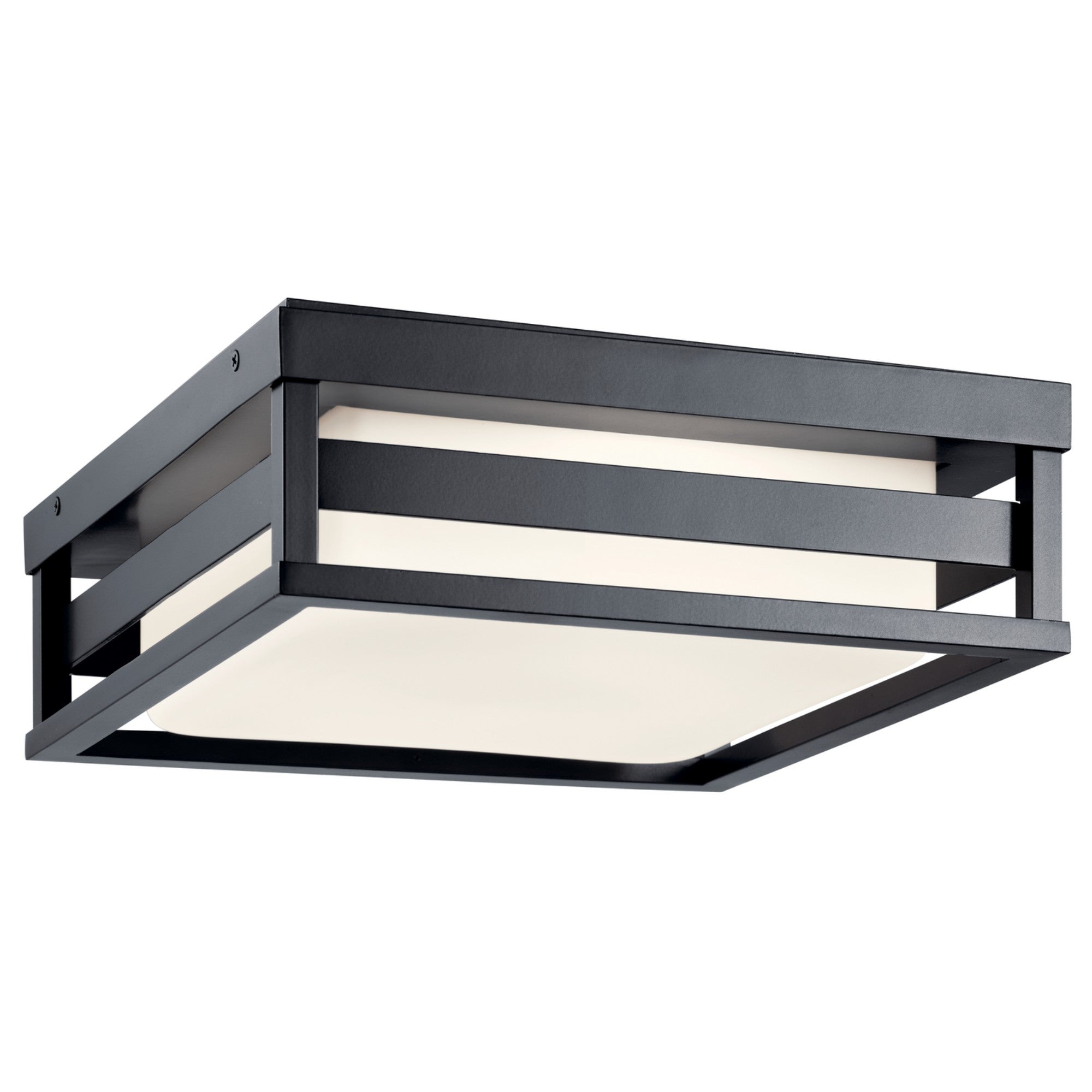 Ryler 12" LED Outdoor Ceiling Light, Black Finish - Bees Lighting