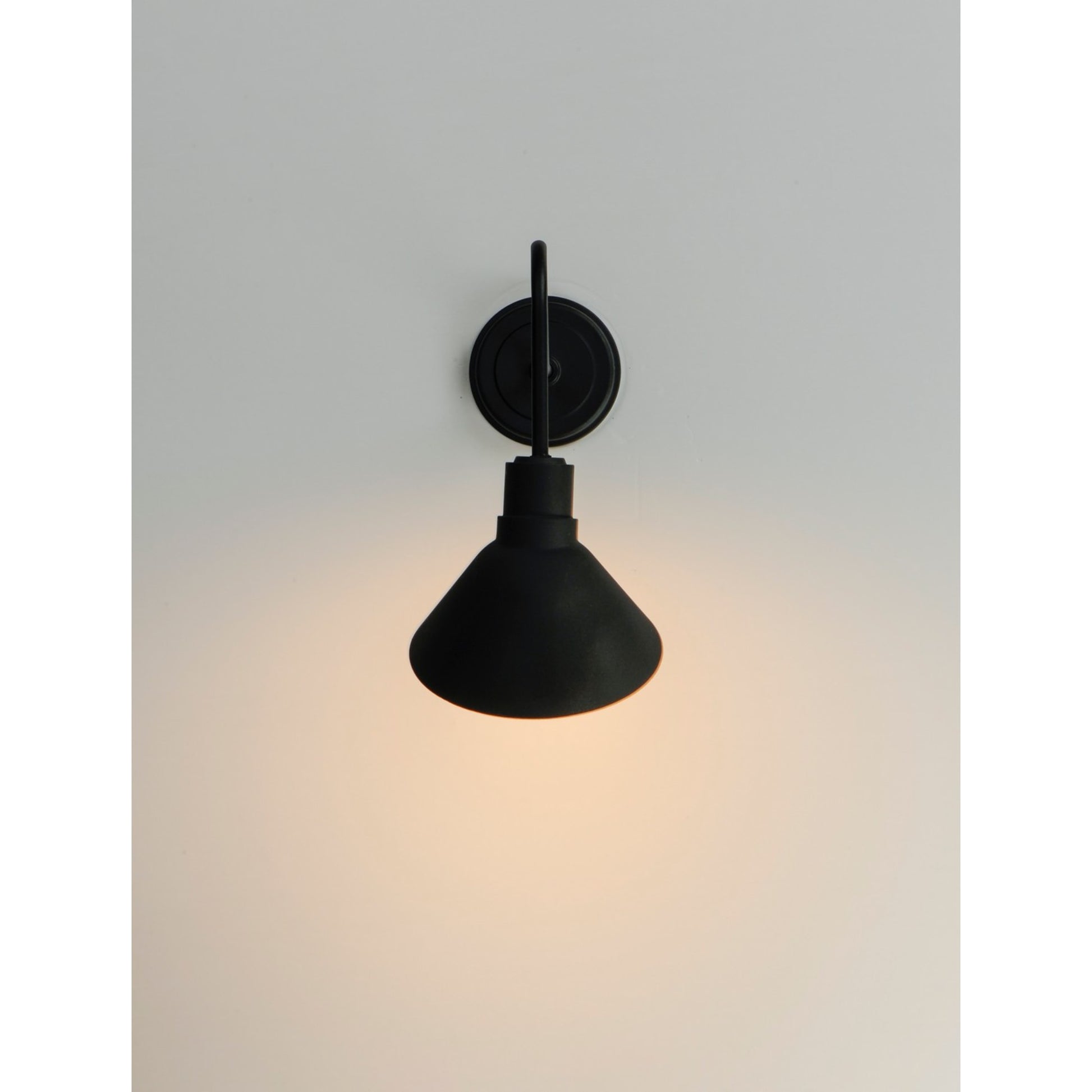 Signlite 21" Outdoor Wall Lantern, Black Finish - Bees Lighting