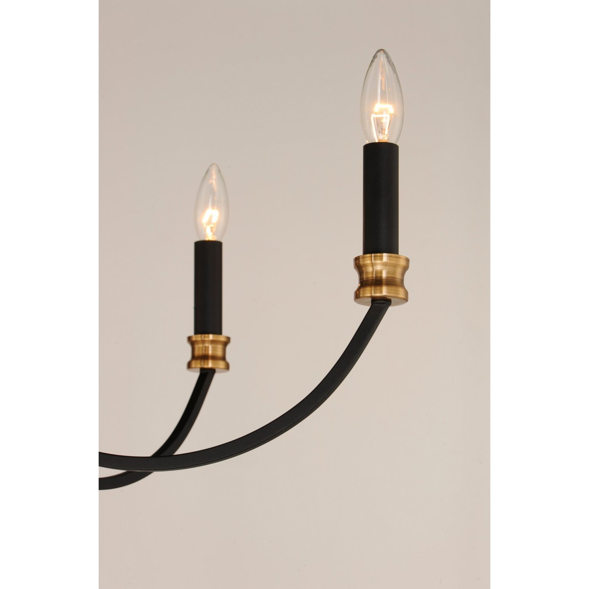 Charlton 26" 5 Lights Chandelier, Black Finish - Bees Lighting