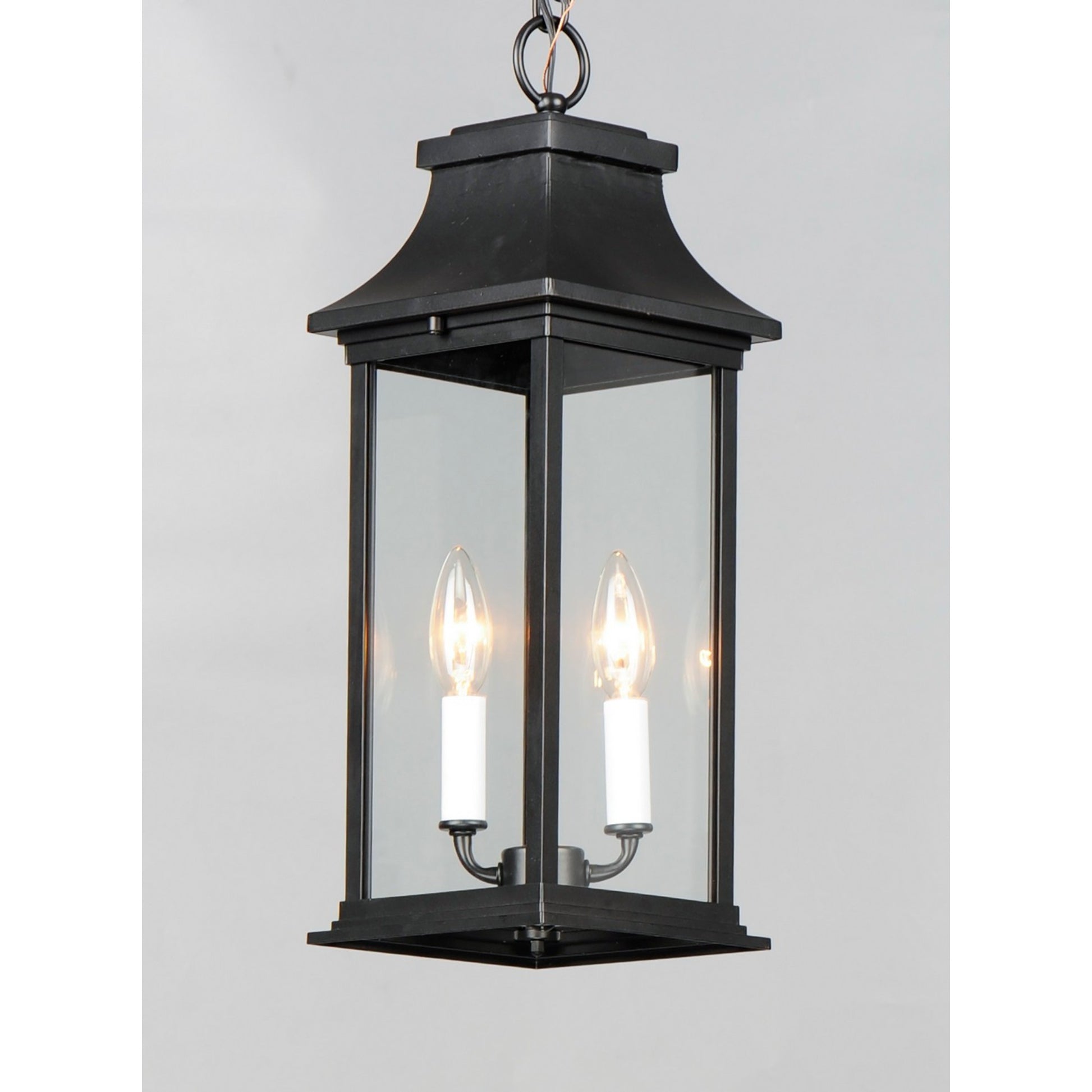 Vicksburg 19" 2-Light Outdoor Hanging Lantern, Black Finish - Bees Lighting