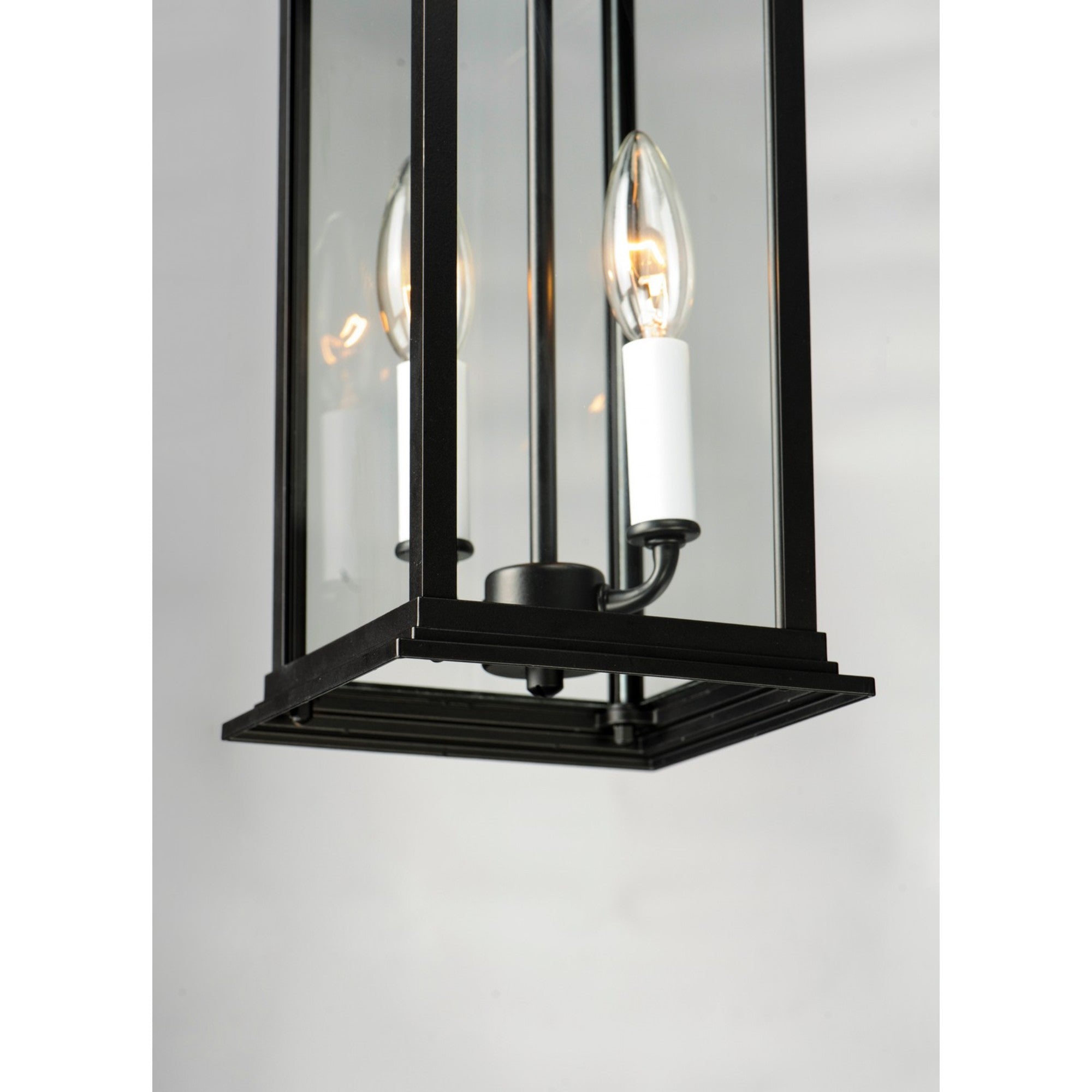 Vicksburg 19" 2-Light Outdoor Hanging Lantern, Black Finish - Bees Lighting