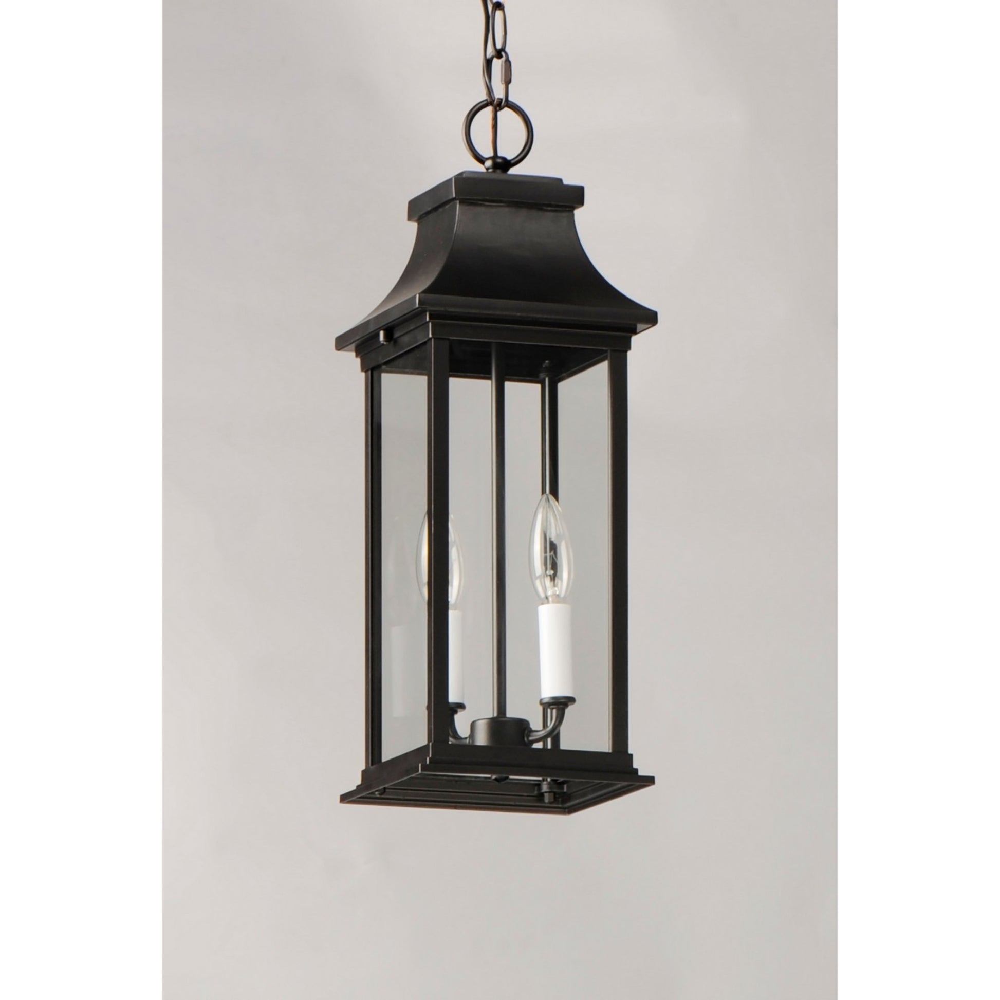 Vicksburg 19" 2-Light Outdoor Hanging Lantern, Black Finish - Bees Lighting