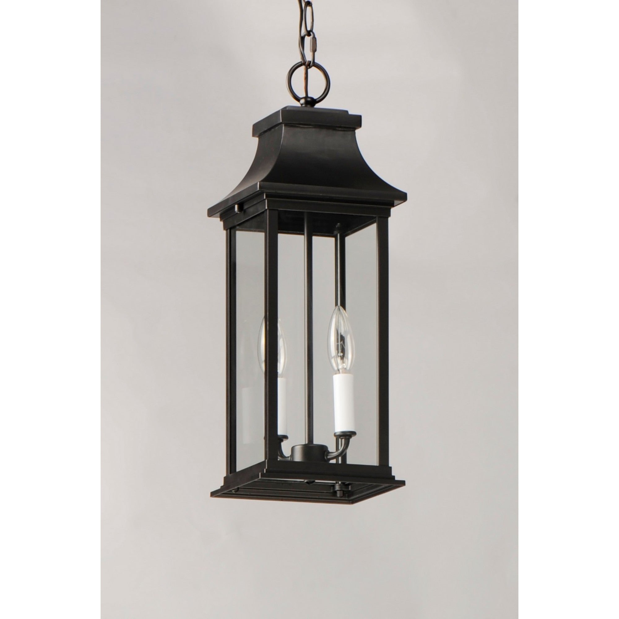 Vicksburg 19" 2-Light Outdoor Hanging Lantern, Black Finish - Bees Lighting