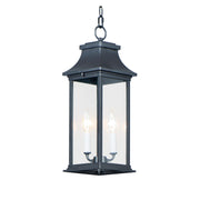 Vicksburg 19" 2-Light Outdoor Hanging Lantern, Black Finish - Bees Lighting