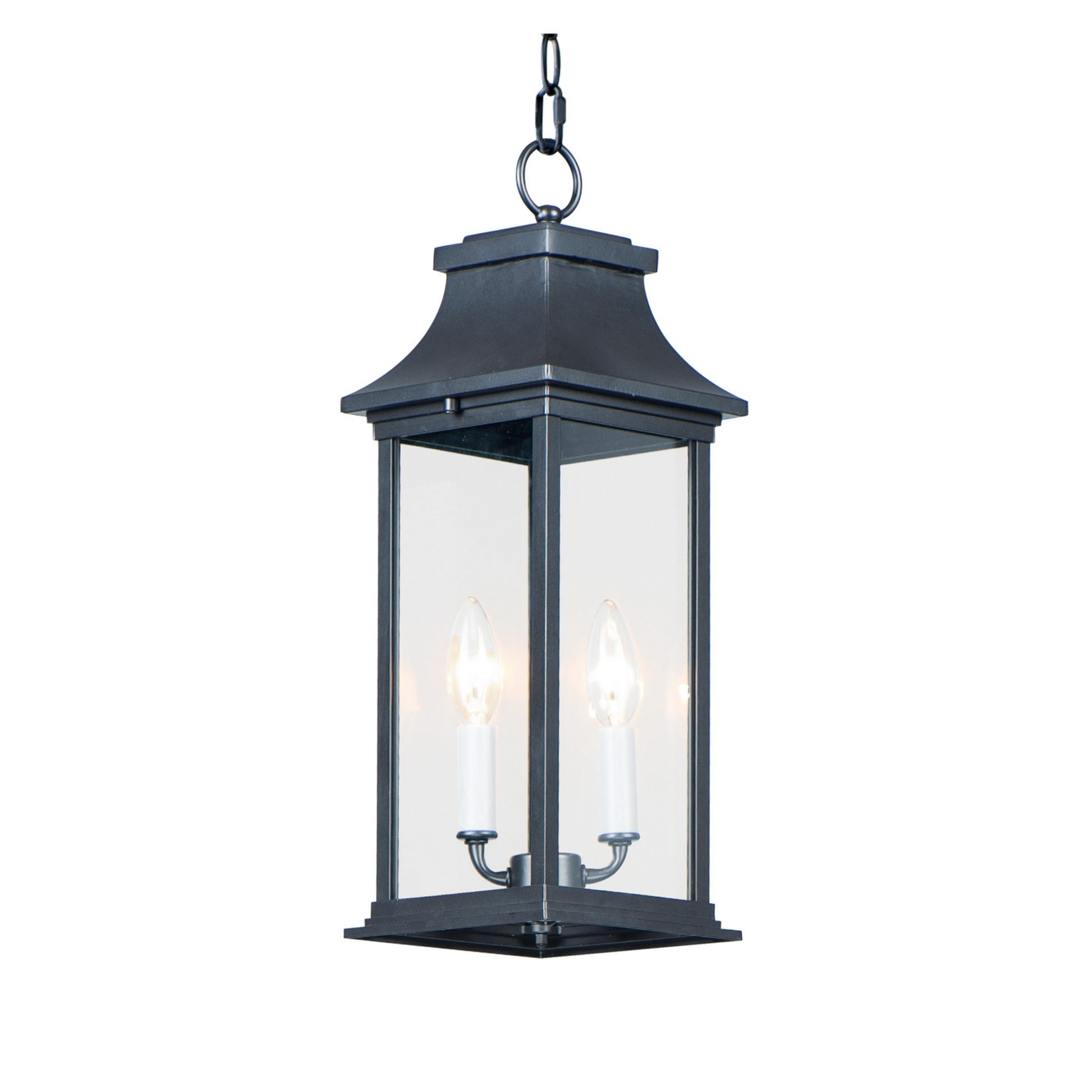 Vicksburg 19" 2-Light Outdoor Hanging Lantern, Black Finish - Bees Lighting