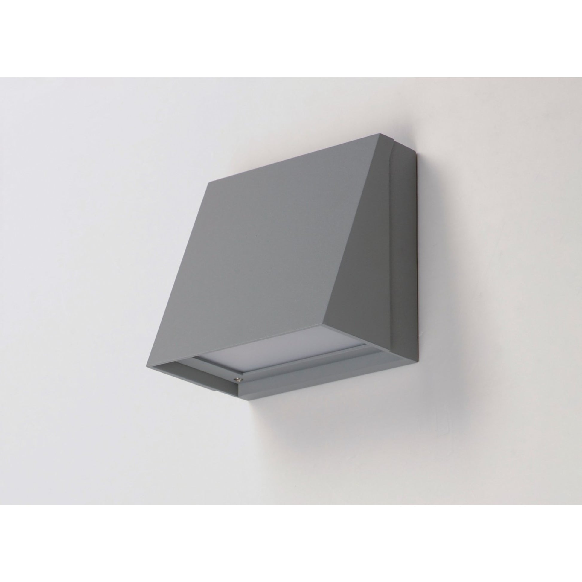 Pathfinder 6" LED Outdoor Wall Sconce, Silver Finish - Bees Lighting