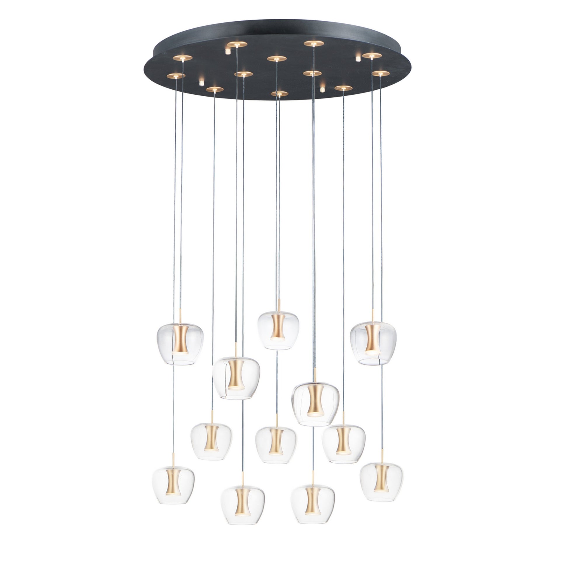 Newton 28" 12-Light LED Pendant, Black & Gold Finish - Bees Lighting