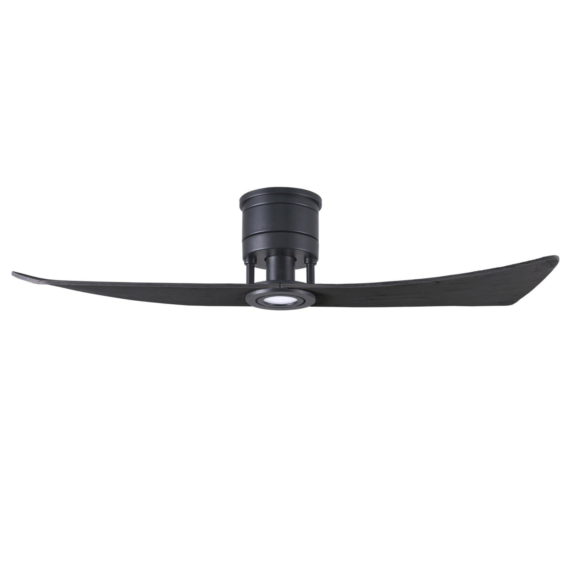 Lindsay 52" 2-Blade LED Ceiling Fan - Bees Lighting