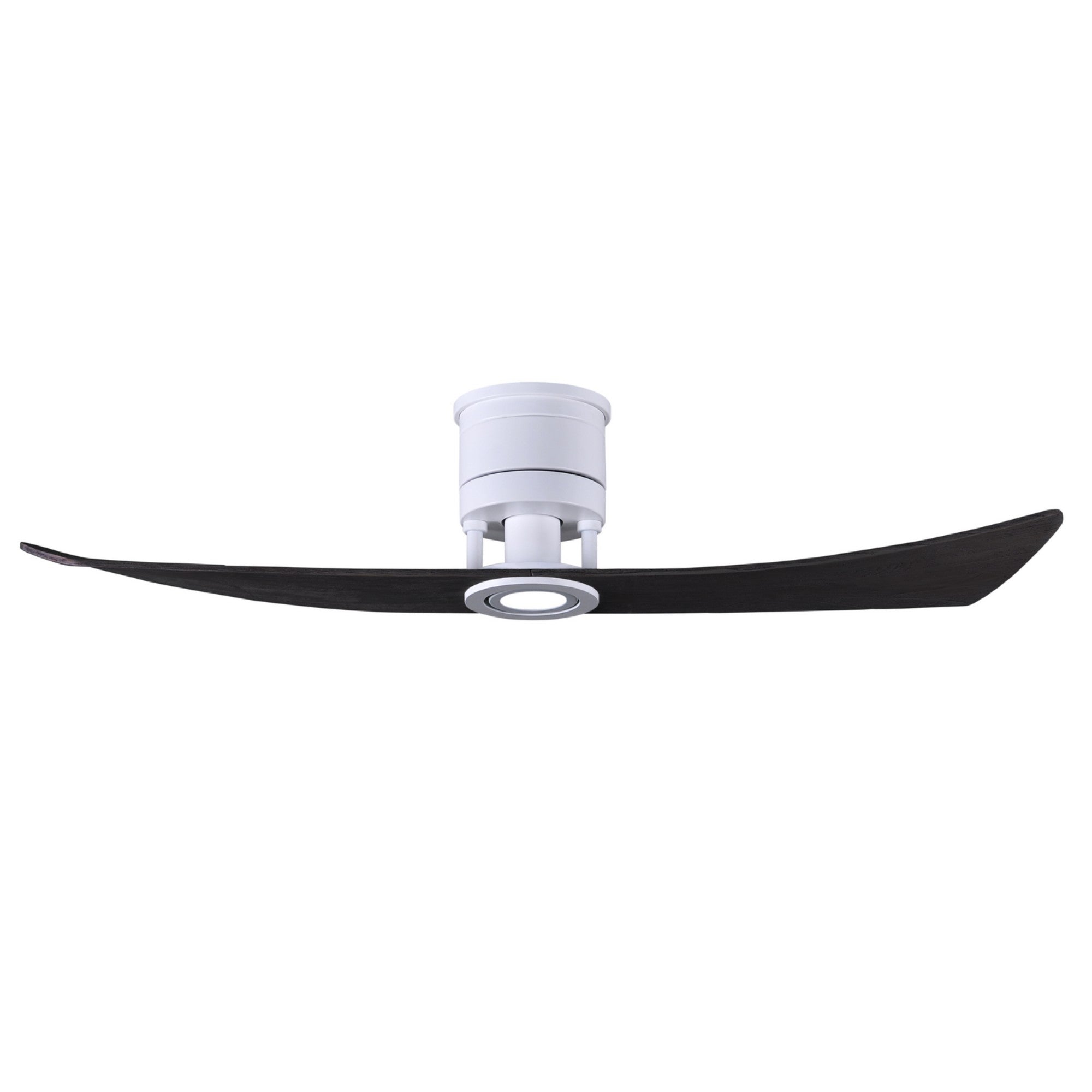 Lindsay 52" 2-Blade LED Ceiling Fan - Bees Lighting