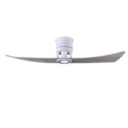 Lindsay 52" 2-Blade LED Ceiling Fan - Bees Lighting