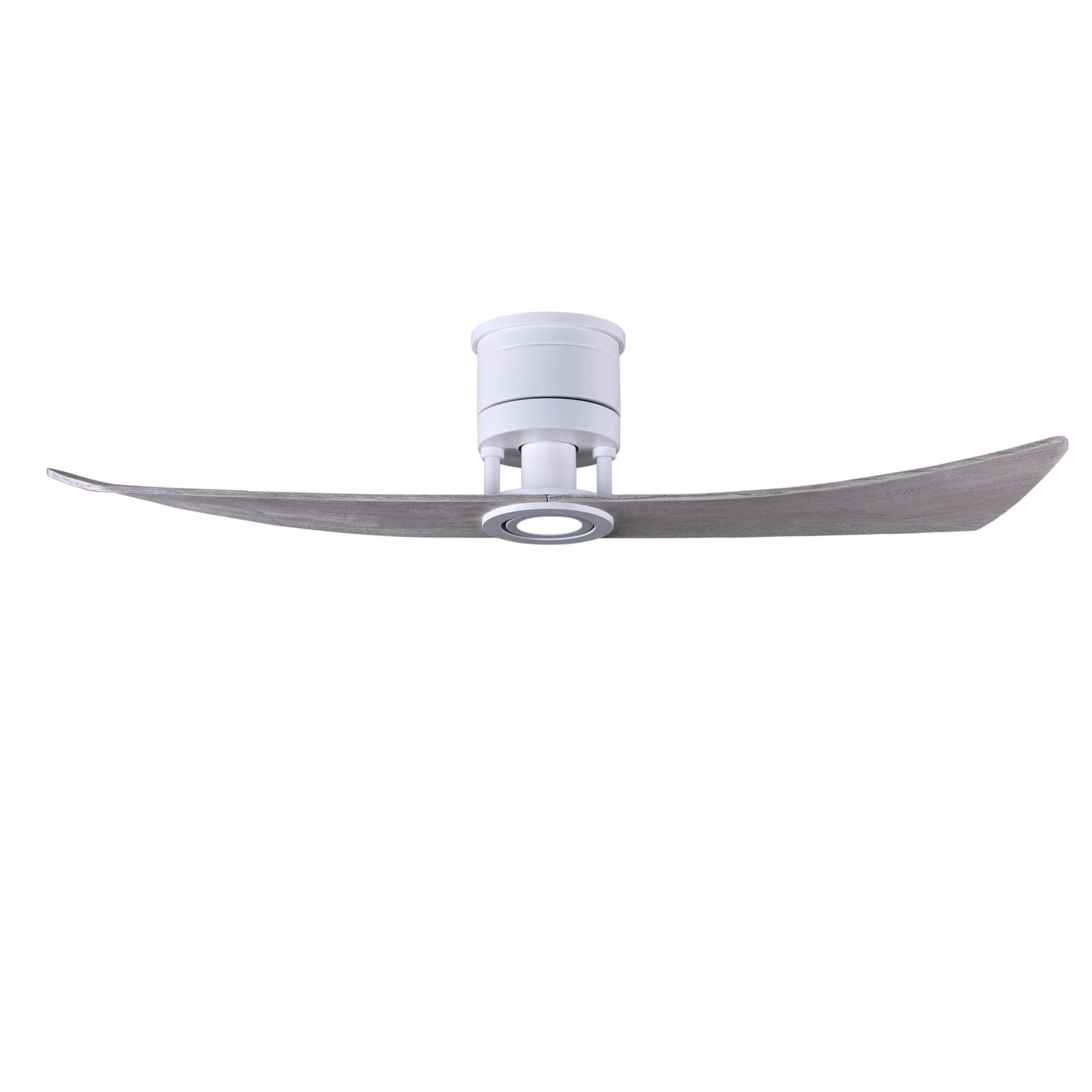 Lindsay 52" 2-Blade LED Ceiling Fan - Bees Lighting