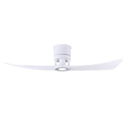 Lindsay 52" 2-Blade LED Ceiling Fan - Bees Lighting