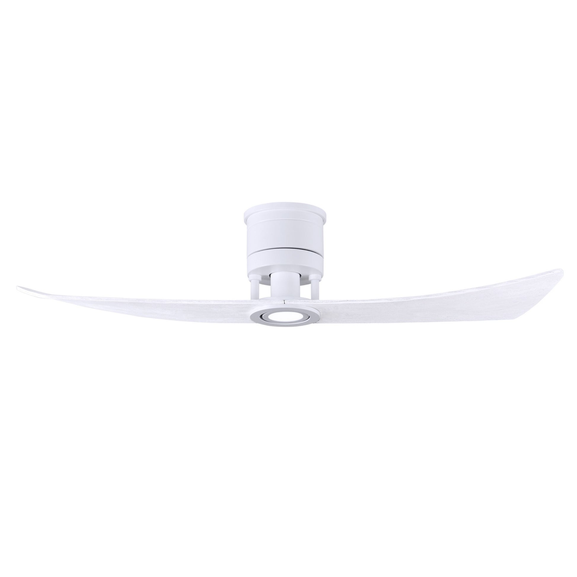 Lindsay 52" 2-Blade LED Ceiling Fan - Bees Lighting
