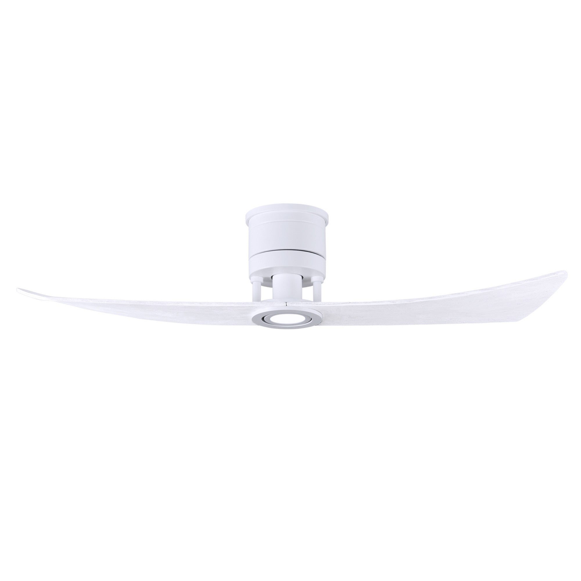 Lindsay 52" 2-Blade LED Ceiling Fan - Bees Lighting