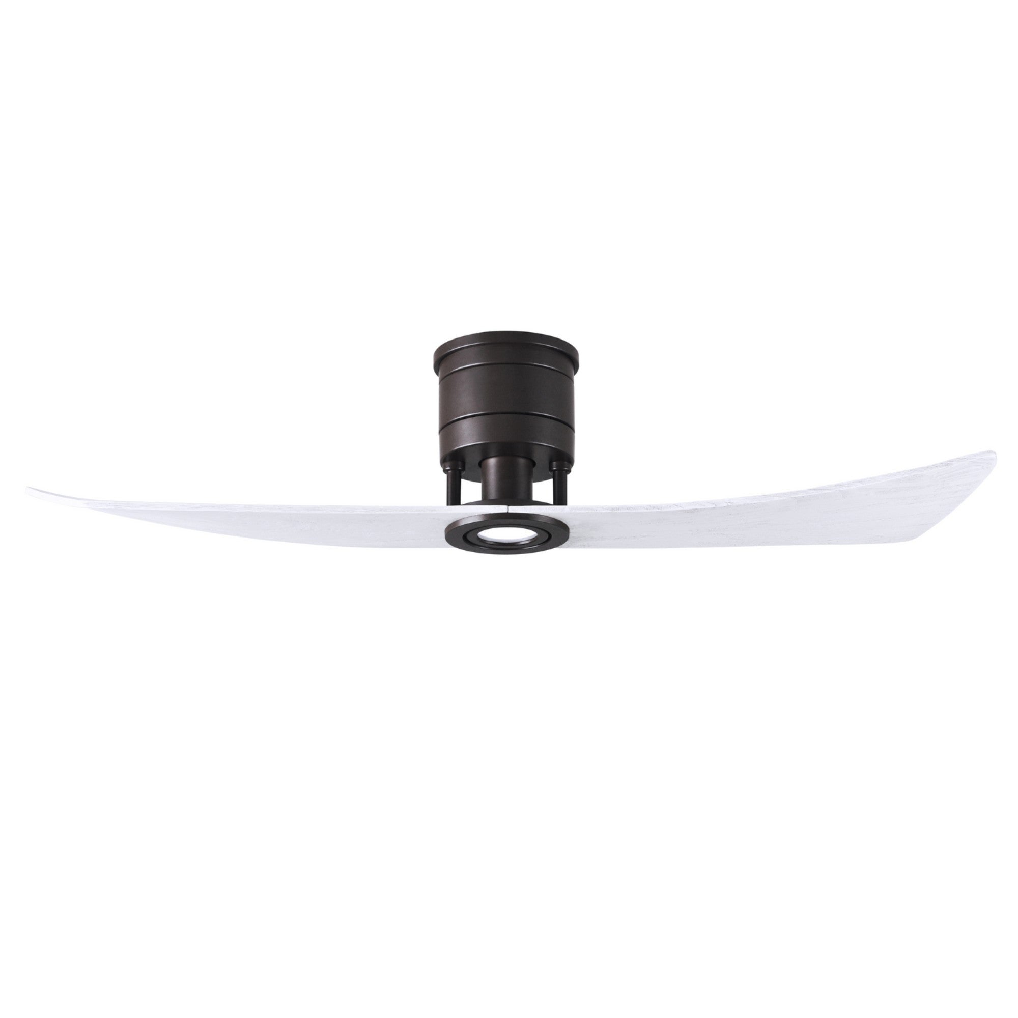 Lindsay 52" 2-Blade LED Ceiling Fan - Bees Lighting