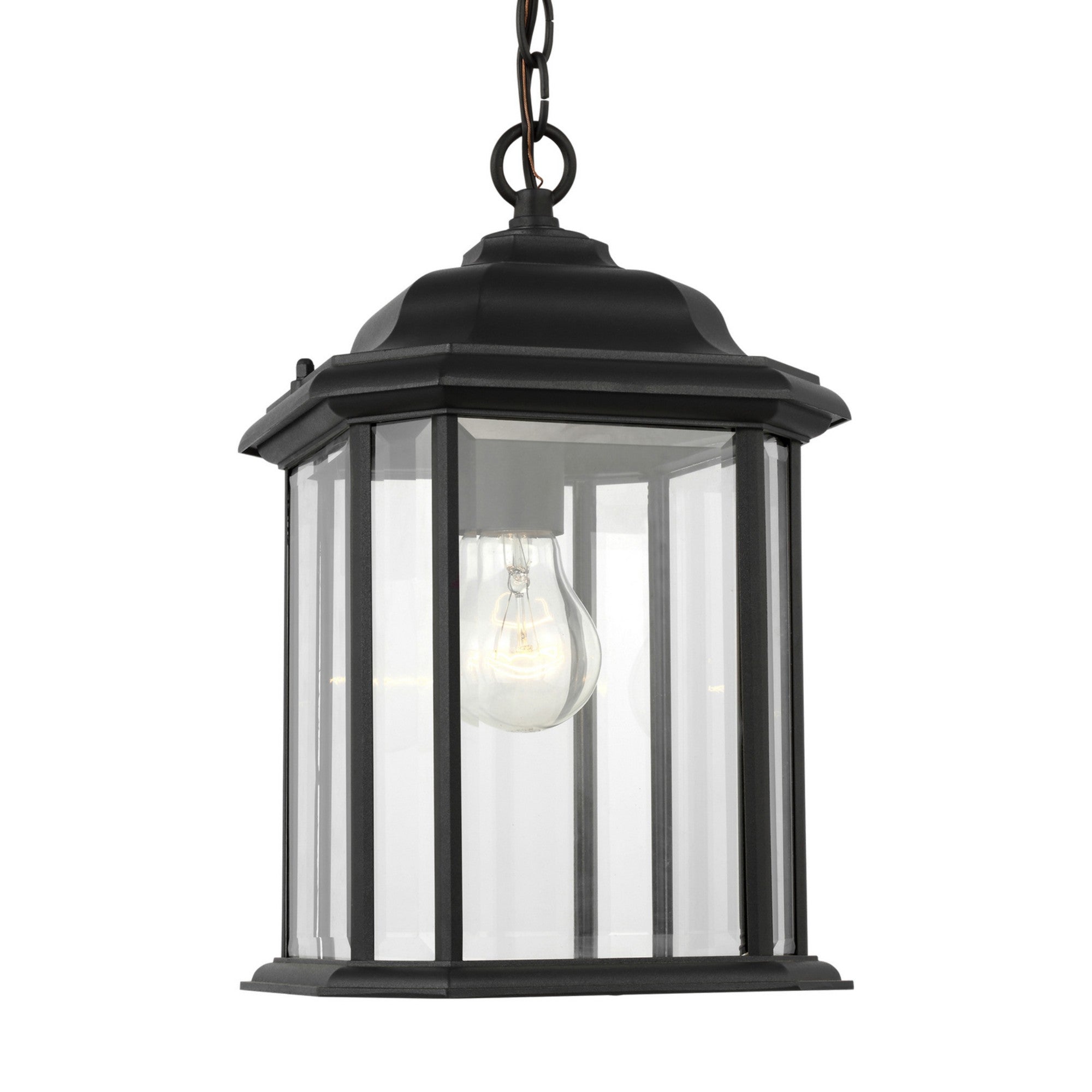 Kent 15" Outdoor Pendant, Black Finish with Clear Glass - Bees Lighting