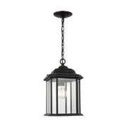Kent 15" Outdoor Pendant, Black Finish with Clear Glass - Bees Lighting