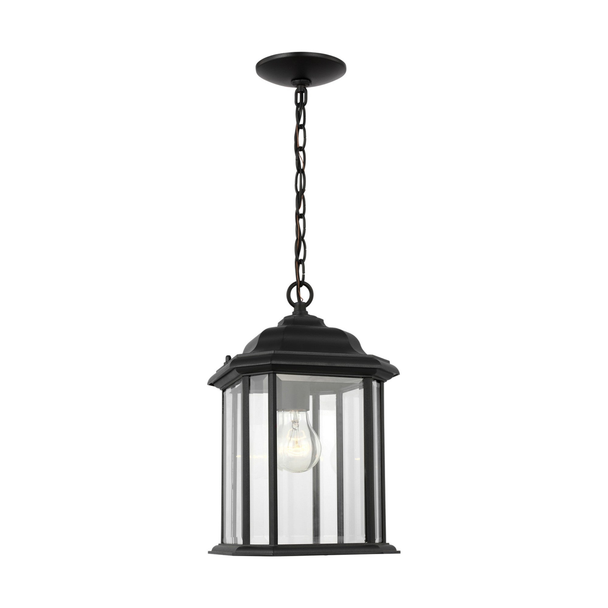 Kent 15" Outdoor Pendant, Black Finish with Clear Glass - Bees Lighting