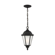 Bakersville 14" Outdoor Pendant 60941, Black Finish - Bees Lighting