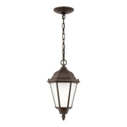 Bakersville 14" LED Outdoor Pendant 60941, Antique Bronze Finish - Bees Lighting