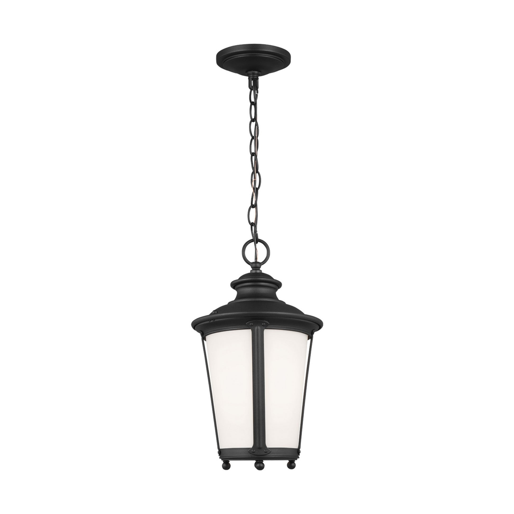 Cape May 16" Outdoor Pendant, Black Finish - Bees Lighting
