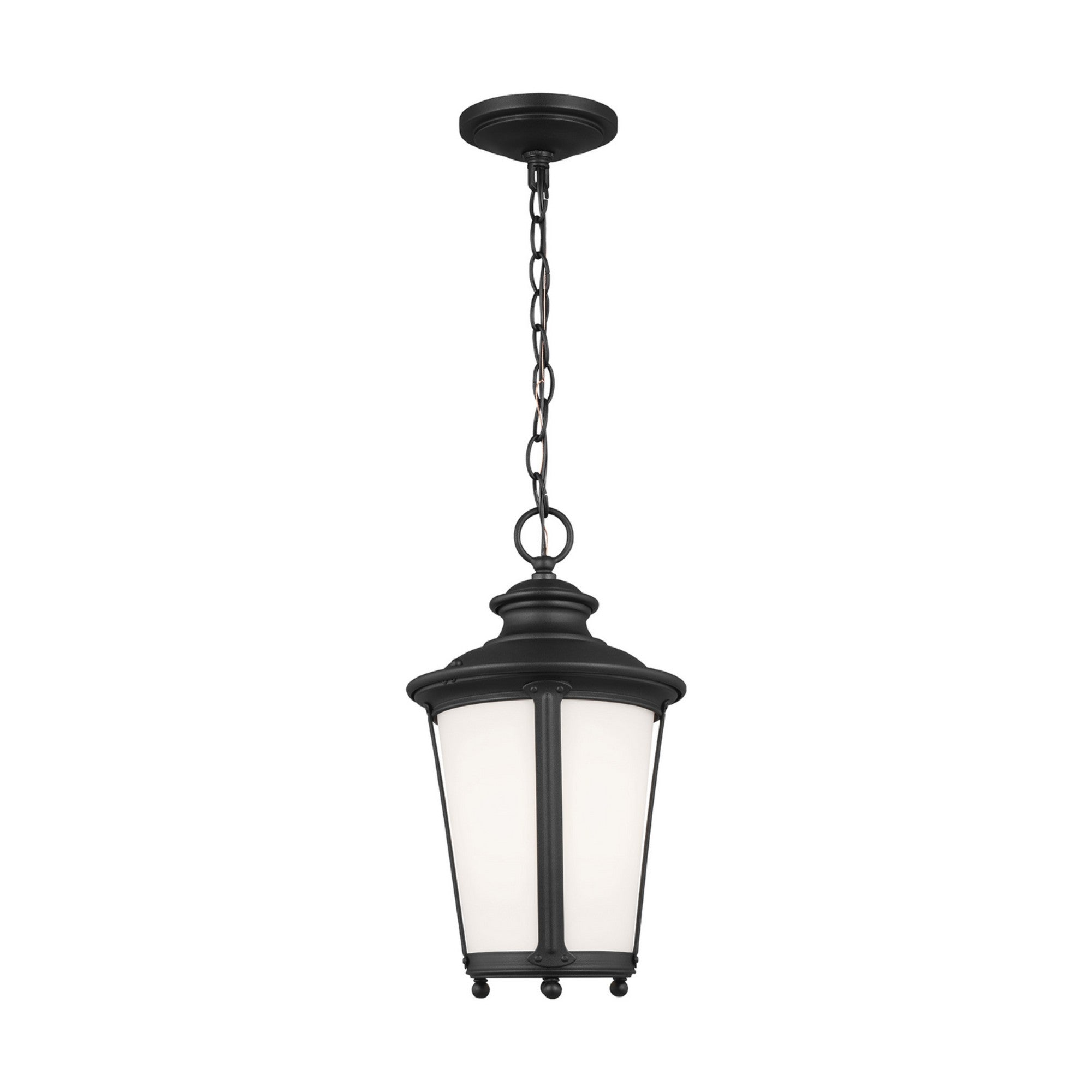 Cape May 16" Outdoor Pendant, Black Finish - Bees Lighting