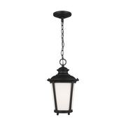Cape May 16" Outdoor Pendant, Black Finish - Bees Lighting