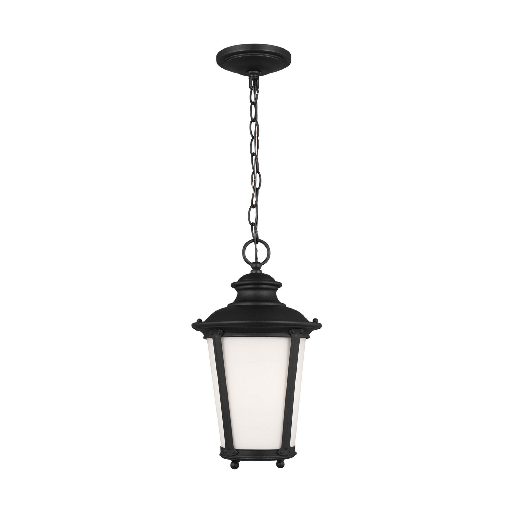 Cape May 16" Outdoor Pendant, Black Finish - Bees Lighting
