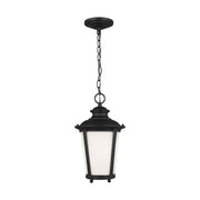 Cape May 16" LED Outdoor Pendant, Black Finish - Bees Lighting