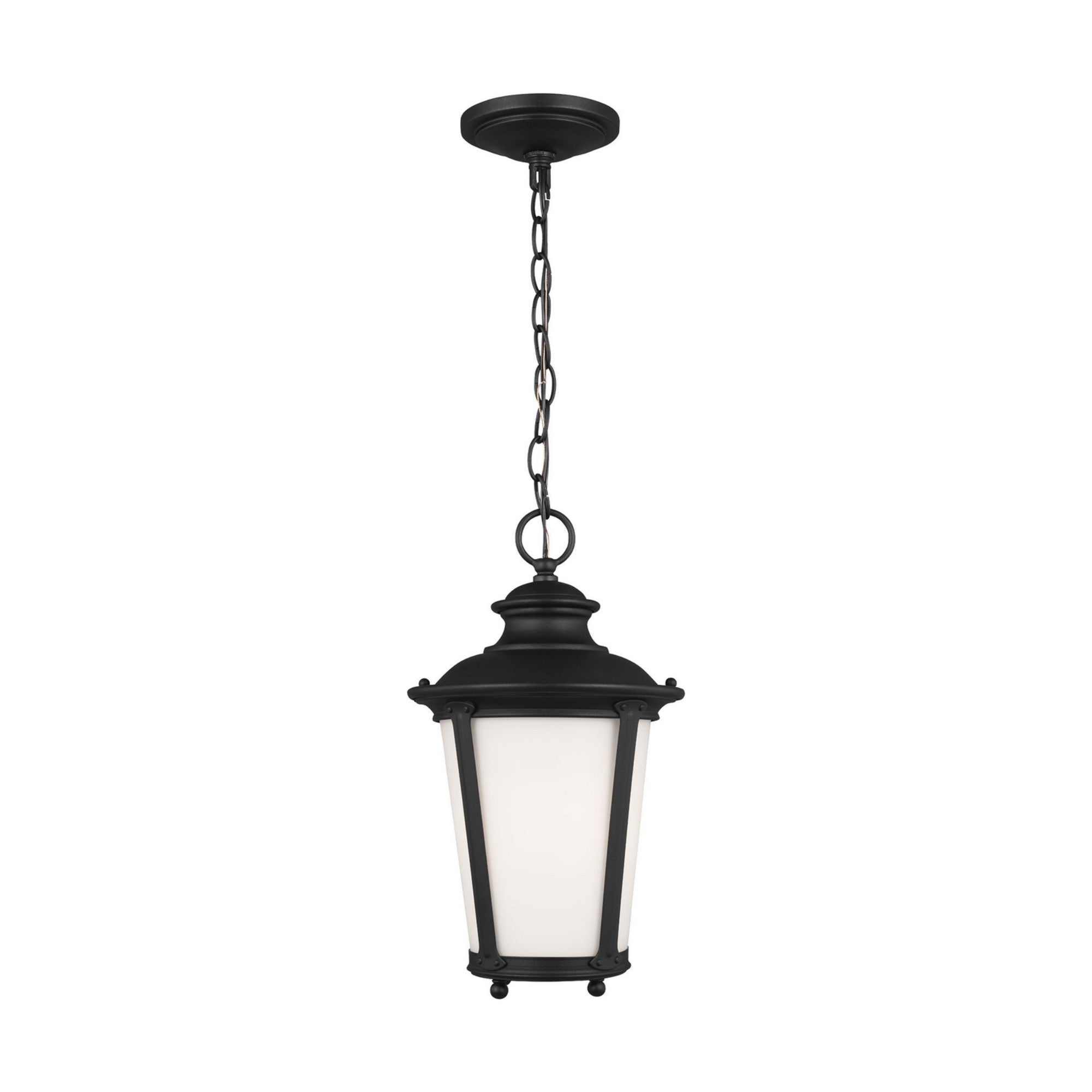 Cape May 16" LED Outdoor Pendant, Black Finish - Bees Lighting