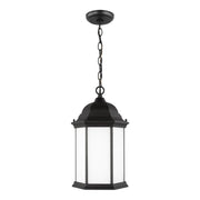 Sevier 17" Outdoor Pendant, Black Finish with Satin Etched Glass - Bees Lighting