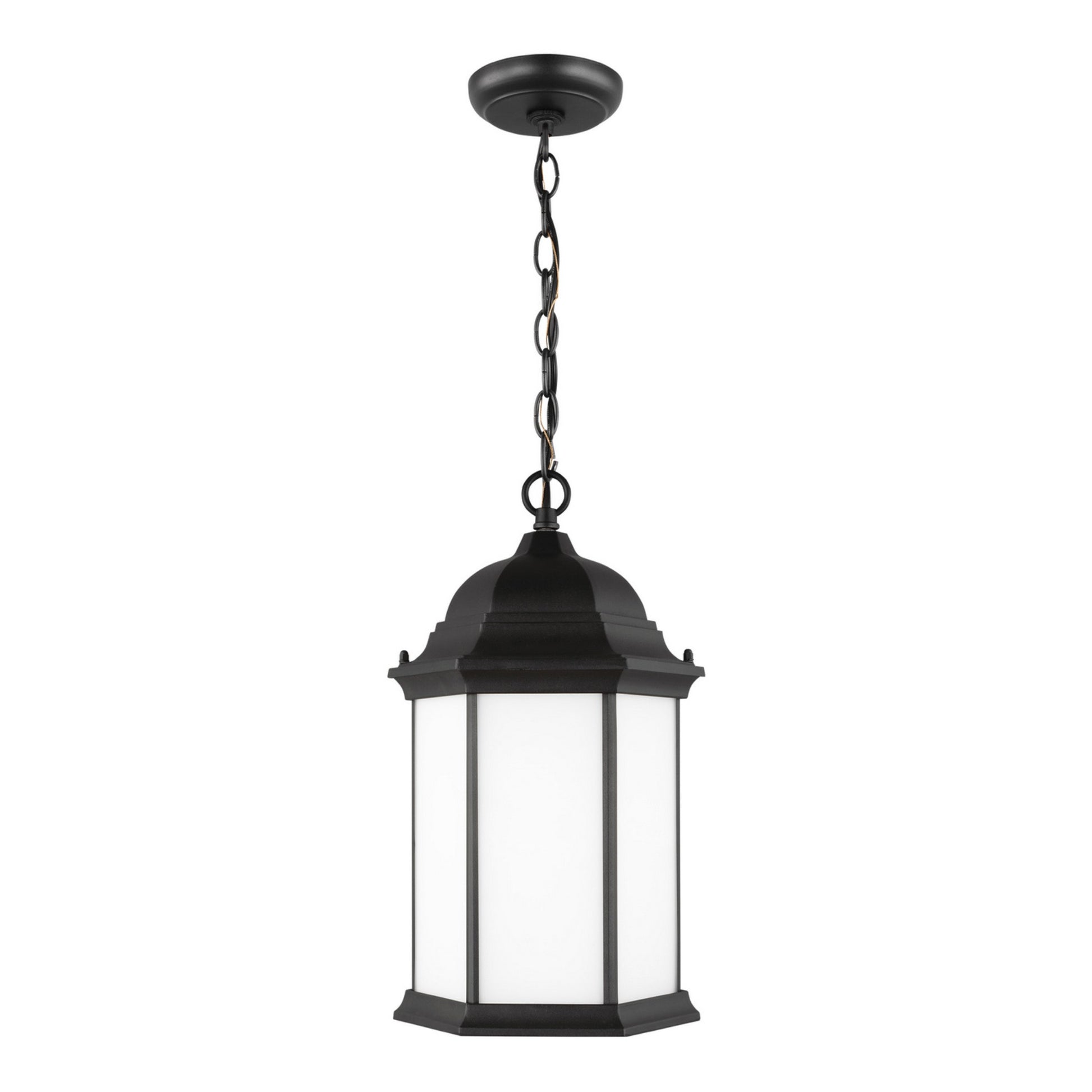 Sevier 17" Outdoor Pendant, Black Finish with Satin Etched Glass - Bees Lighting